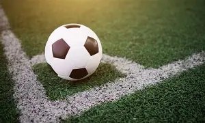 杨希深情致,谢邵佳一,携手再战,万博manbetx体育平台,万博体育官网,万博体育app下载,ManBetX,SPORTS