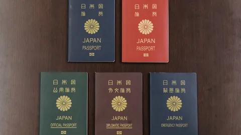 凯斯澳网女单夺冠击败萨巴伦卡，央视新闻客户端报道首获大满贯荣耀